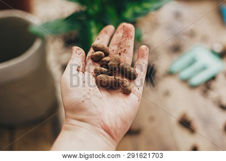 Repotting Plant Concept. Dirty Hand Holding Drainage  At Empty New Pot And Gardening Stylish Tools,