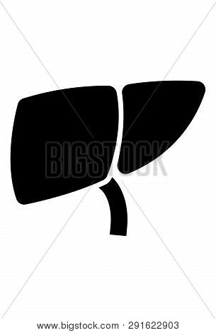 This Vector Image Shows A Liver In Glyph Icon Design. It Is Isolated On A White Background.