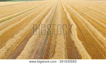 View Of Field From Air. Forests At The Distance. Nature Is Our Breadwinner. Wealths Closer Than You 