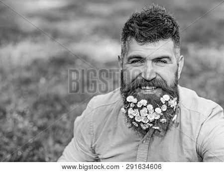 Man With Beard On Smiling Face Enjoy Life Without Allergy. Spring Allergy Concept. Hipster With Dais