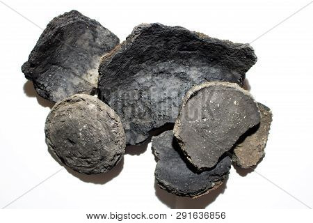 Ancient Molded Ceramics Of Zarubintsy Culture Of The Early Iron Age With Archaeological Excavations