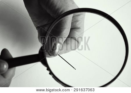 An Elderly Woman With Wrinkled Fingers Holds A Magnifying Glass And Through The Transparent Glass Is