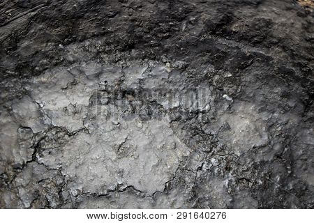 Ancient Molded Ceramics Of Zarubintsy Culture Of The Early Iron Age With Archaeological Excavations.