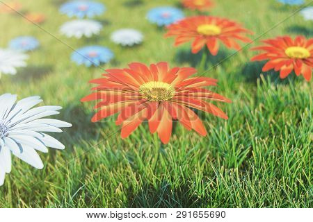 Beautiful Loose Orange Flower On A Background Of Grass On A Sunny Day. Gerbera Flower Or Margarita F