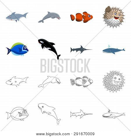 Vector Design Of Sea And Animal Icon. Collection Of Sea And Marine Vector Icon For Stock.