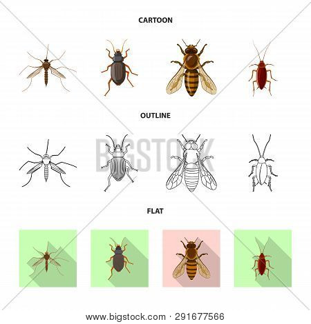 Vector Illustration Of Insect And Fly Icon. Set Of Insect And Element Vector Icon For Stock.