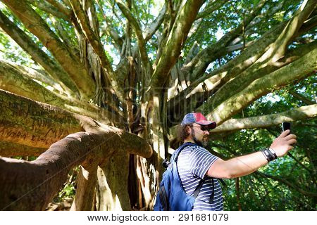 Male Tourist Taking Photo Of Himself Near Giant Banyan Tree On Hawaii. Branches And Hanging Roots Of