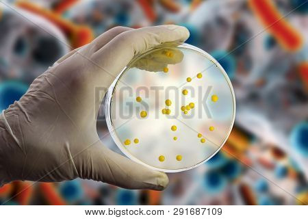 Colonies Of Microbes On Petri Dish On The Bacterial Background, Photo And 3d Illustration