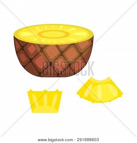 Half And Pieces Of Pineapple. Cut Fruit, Fresh, Slice, Cooking. Vector Illustration Can Be Used For 