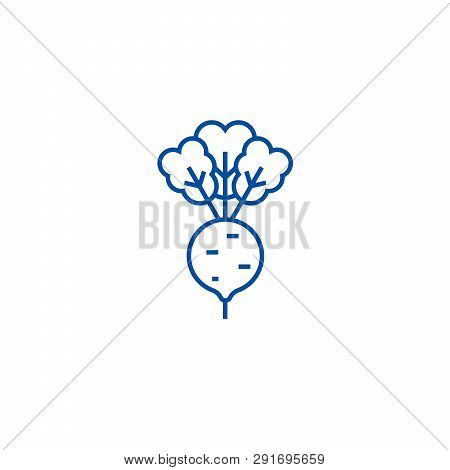 Beet, Roots Line Icon Concept. Beet, Roots Flat  Vector Symbol, Sign, Outline Illustration.