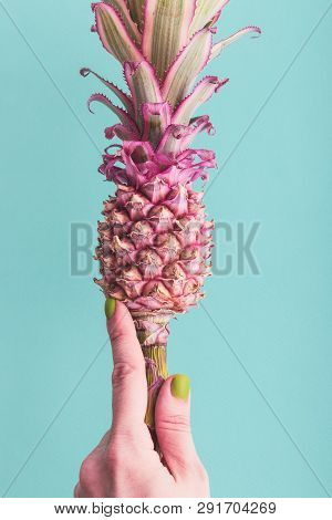 Hand Holding A Pineapple.pineapple On A Blue Background.pink Pineapple.abstract Floral Background Wi