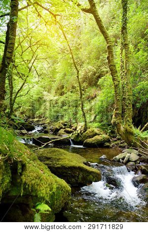 Small Waterfalls Near Torc Waterfall, One Of Most Popular Tourist Attractions In Ireland, Located In
