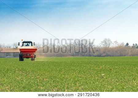 Unrecognizable Farmer In Agricultural Tractor Is Fertilizing Wheat Crop Field With Npk Fertilizer Nu