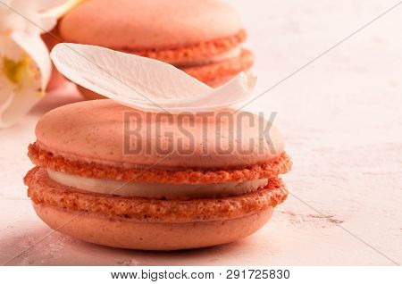 Clouse Up Shot Of Pink Macaron Dessert With White Petal On Texutured Background