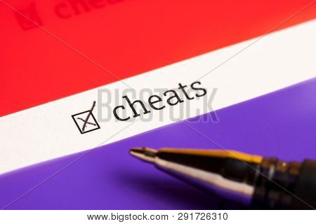 Checked Checkbox With Word Cheats. Questionnaire Concept.
