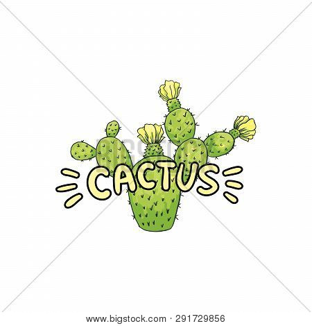 Cactus Lettering With Green Letters, Cacti Saguaro And Red Pepper. Isolated Logo Vector Design Eleme