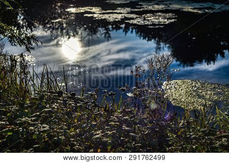 The Direct Sun And Surrounding Trees And The Blue Late Afternoon Sky Reflect In The Calm Water Of Th