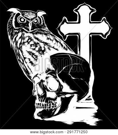 Vector Illestation Drawing Of Owl Holding Skull