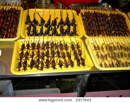 Bug Appetizers