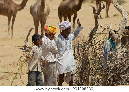 Jamba, India - April 02, 2007: Unidentified People Keep Young Camels In The Coral In That Desert In 