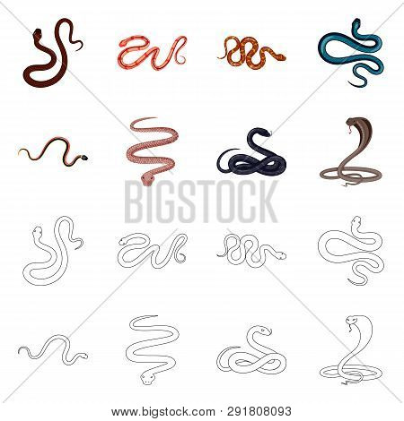 Vector Design Of Mammal And Danger Logo. Collection Of Mammal And Medicine Vector Icon For Stock.