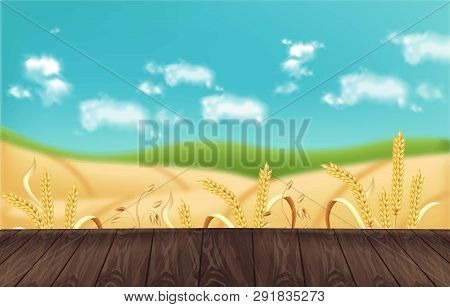 Oat Fields Vector Realistic Background Mockup. Wooden Table Template For Product Placements