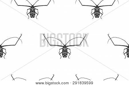 Insect Beetle Harlequin Isolated On White Background. Seamless Pattern. Black And White Sketch. Real