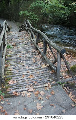 Agios Nikolaos Park Naousa Greece Europe