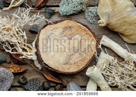 Wooden Stump, Dried Roots, Nut Shell, Coconuts, Dry Plants, Eucalyptus, Lotus Seeds For Floristic De