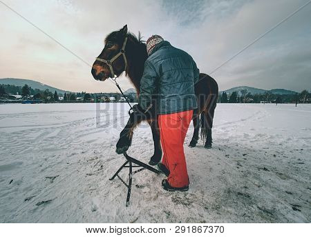 Farrier Assistant Keep Horse With Front Leg On Steel Tripod. Regular Hoof Check Within Winter Time O