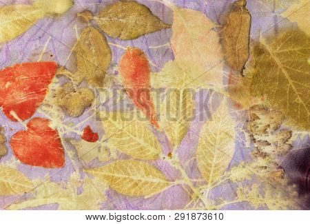 Botanical Print With Leaf Prints On Natural Silk. Hand-drawn Illustration.