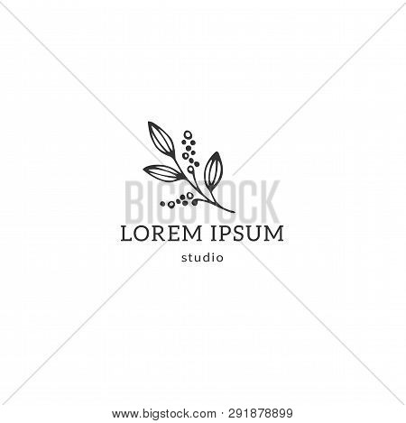 Kitchen And Food Theme. Vector Hand Drawn Object, A Sprig Of Pepper. Minimal Logo Template. Logo Ele