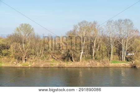 River Big Morava In The Serbia With Trees And Grass On The Shore.