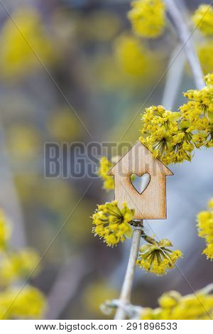 Closeup Wooden House With Hole In Form Of Heart Surrounded By Yellow Flowering Branches Of Spring Tr
