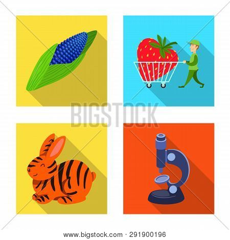 Isolated Object Of Test And Synthetic Icon. Collection Of Test And Laboratory Vector Icon For Stock.