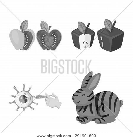 Vector Design Of Transgenic And Organic Icon. Set Of Transgenic And Synthetic Stock Symbol For Web.