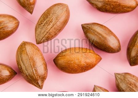 Not Cleaned Pecan Nuts In The Shell On Pink Background.