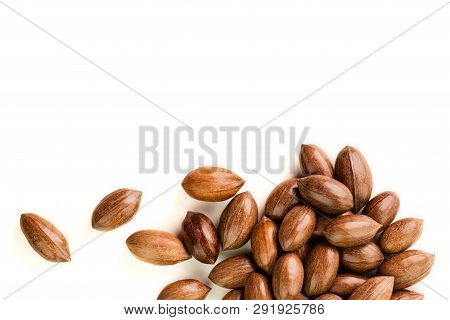 Not Cleaned Pecan Nuts In The Shell Isolated On White.