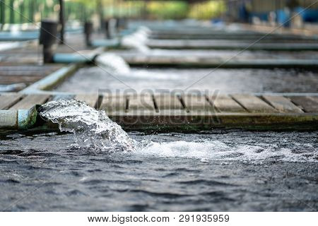 Water Flow Treatment System From The Water Pump Pipe.motion Of Water Gushing Out Of The Pipe From Ko