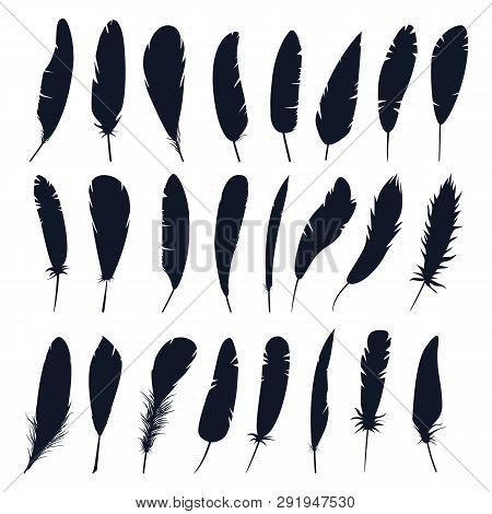 Set Of Isolated Bird Feather Or Plume Silhouette. Black Quill For Decoration Or Writing. Hand Drawn 