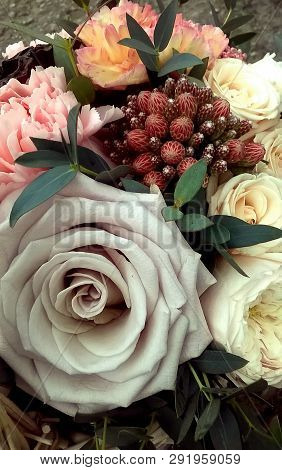 Spring Bouquet Of Mixed Colorful Flowers. Flowers Bouquet Including Ozothamnus, Rose Menta , White R