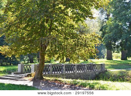 Park brug