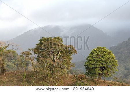 Clouds Over The Rainforest At Portobelo In Panama