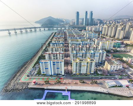 Cherry Blossoms Blooming In Namcheondong , Suyeonggu, Busan, South Korea, Asia
