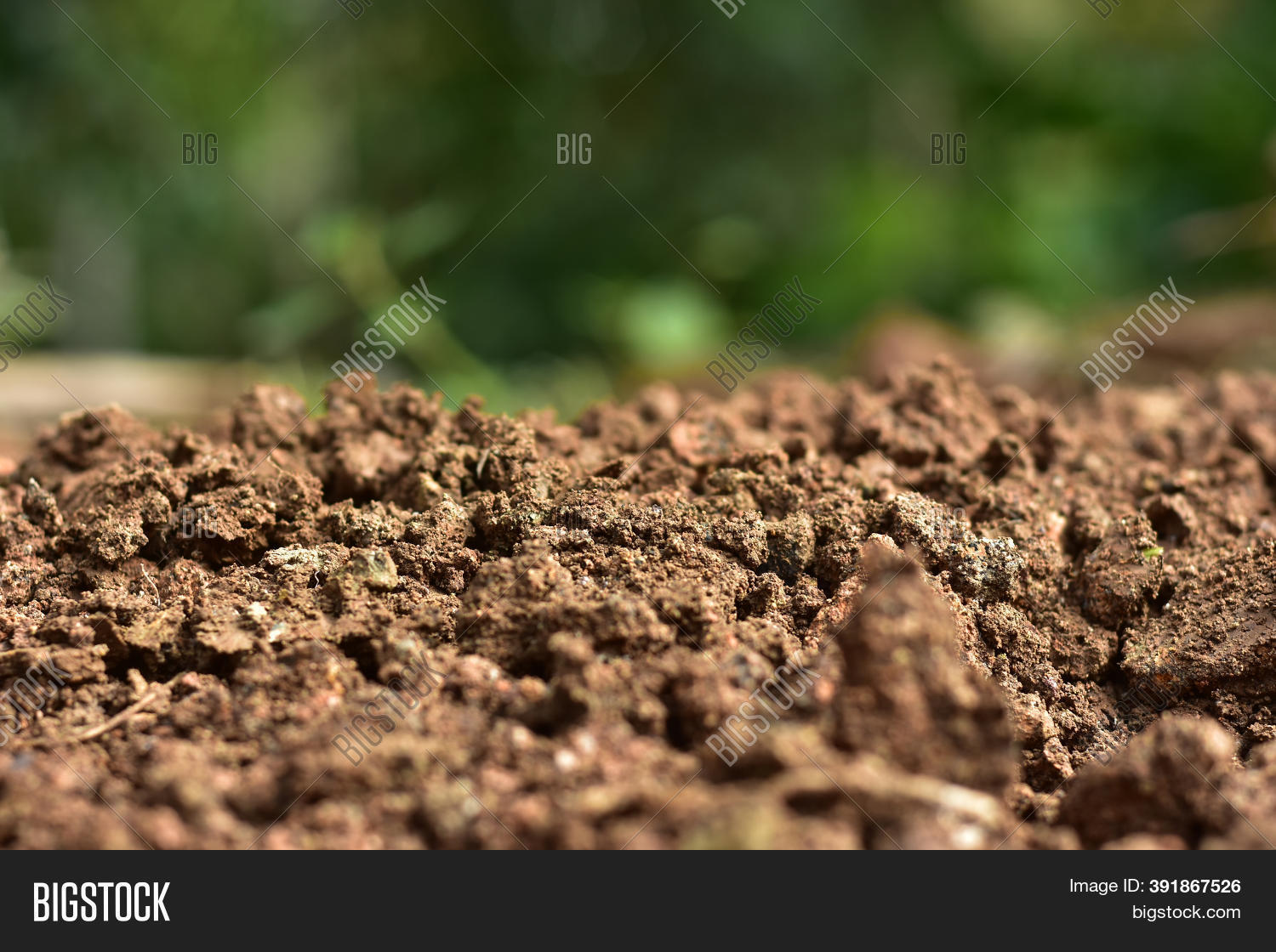 Clean Soil Cultivation Image & Photo (Free Trial) Bigstock