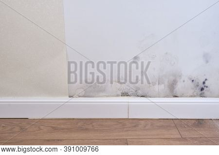 Black Mold On The Wall With Wallpaper And Plinth, Close-up, Lifestyle