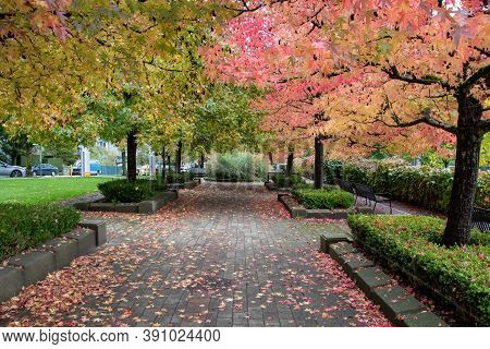 A Picture Of A Well-tended Garden And A Pathway In Autumn.   Victoria Bc Canada