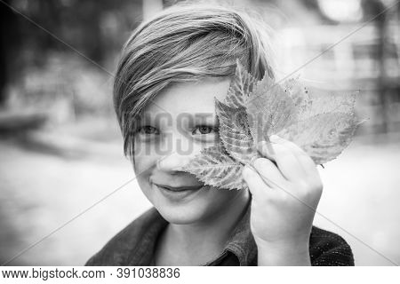 Kid On An Autumn Holiday In The Farm. Bye Summer - Hi Autumn. Fair-haired Kid Playing With Leaves An