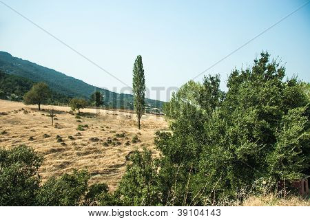 Mountain view - Parque Nacional Olympus
