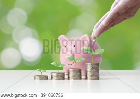 Coin Graph Shows Financial Growth And Tree Planting On Coin Piles, As Well As Piggy Banks, Money Sav